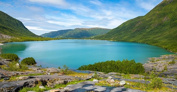 Bilde 1 av 1 i jobbannonse-galleriet