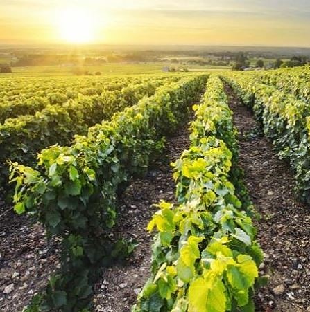 Bilde 1 av 4 i jobbannonse-galleriet