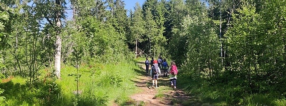 Bilde 5 av 5 i jobbannonse-galleriet