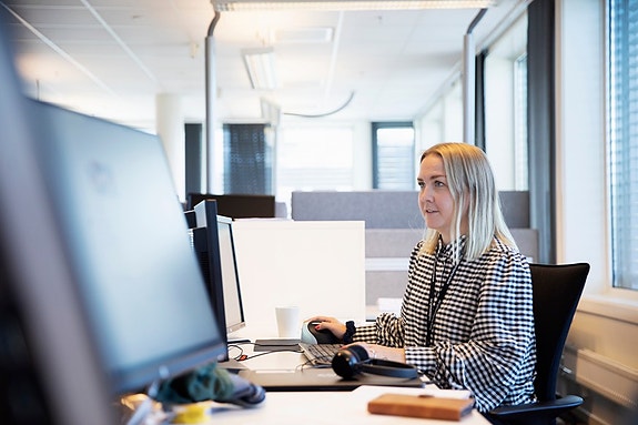 Bilde 2 av 5 i jobbannonse-galleriet