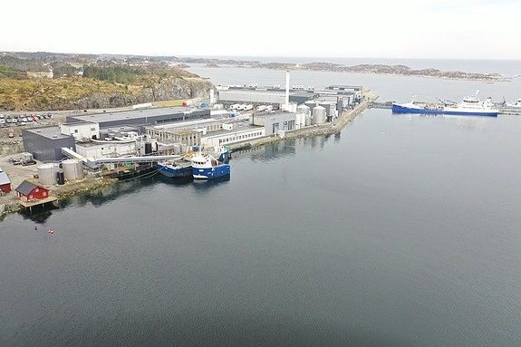 Bilde 4 av 4 i jobbannonse-galleriet