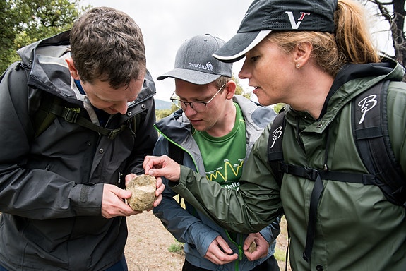 Bilde 1 av 1 i jobbannonse-galleriet