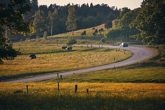 Bilde 1 av 6 i jobbannonse-galleriet