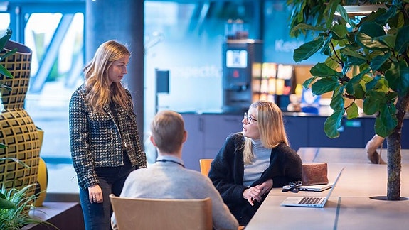 Bilde 2 av 3 i jobbannonse-galleriet