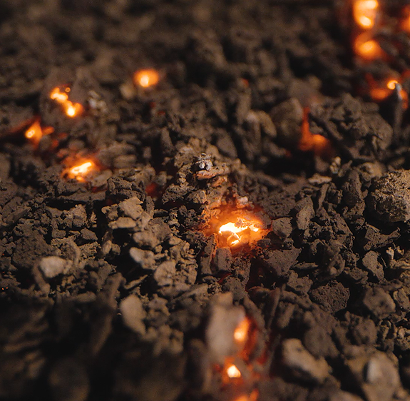 Bilde 9 av 9 i jobbannonse-galleriet