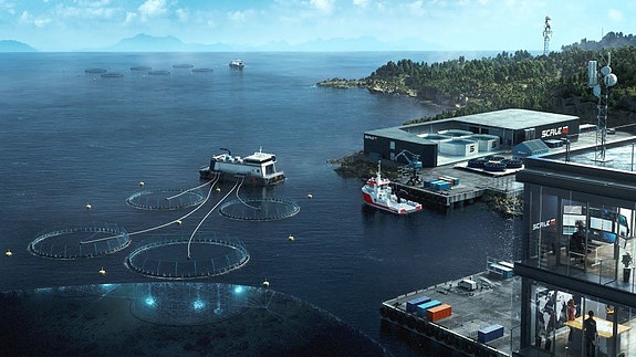 Bilde 1 av 1 i jobbannonse-galleriet