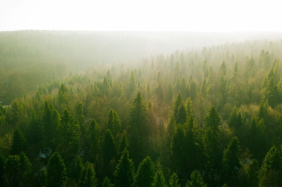 Bilde 4 av 6 i jobbannonse-galleriet