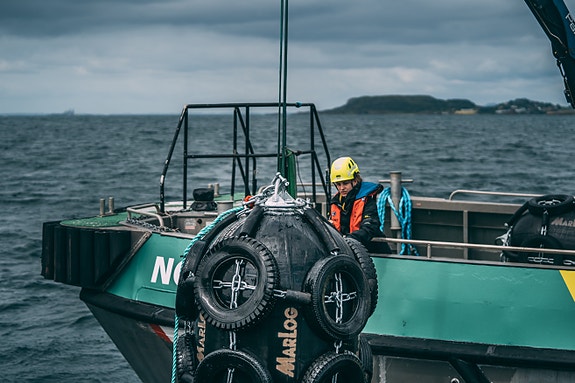 Bilde 1 av 7 i jobbannonse-galleriet