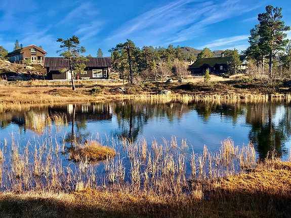 Høstbilde fra tomteområdet