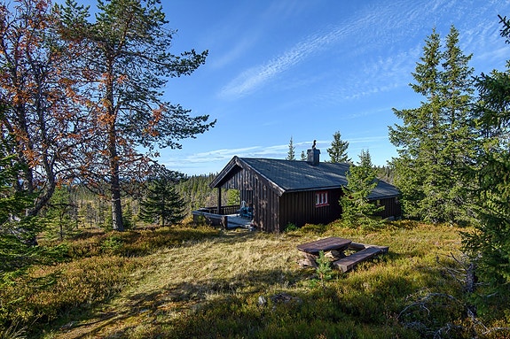 Velkommen til Lauvlia 7!