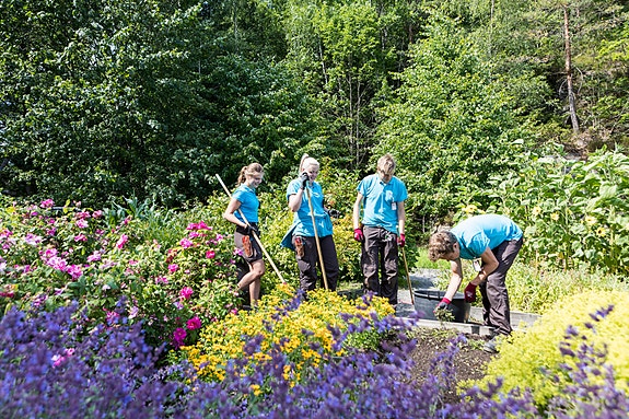 Bilde 4 av 8 i jobbannonse-galleriet