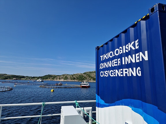 Bilde 2 av 3 i jobbannonse-galleriet