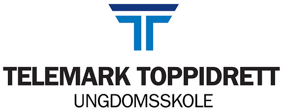 TELEMARK TOPPIDRETT UNGDOMSSKOLE SKIEN AS logo