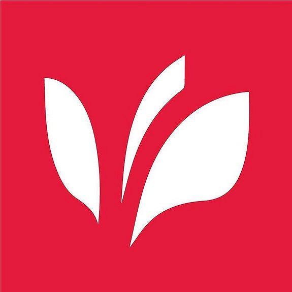 Verbum forlag / Bibelselskapet logo