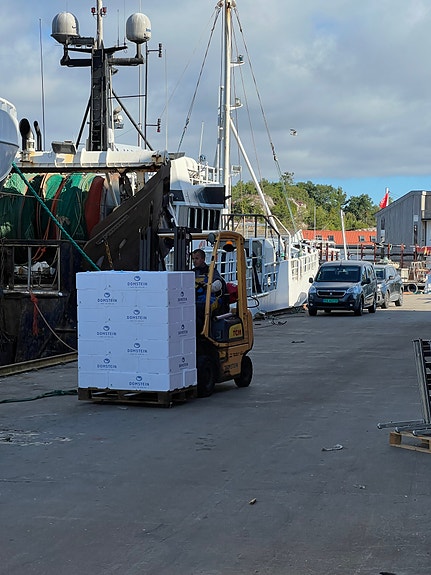 Bilde 5 av 5 i jobbannonse-galleriet