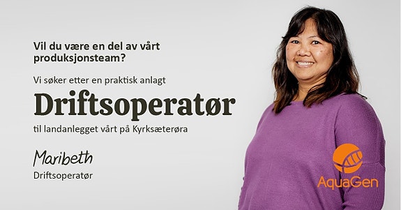 Bilde 1 av 1 i jobbannonse-galleriet