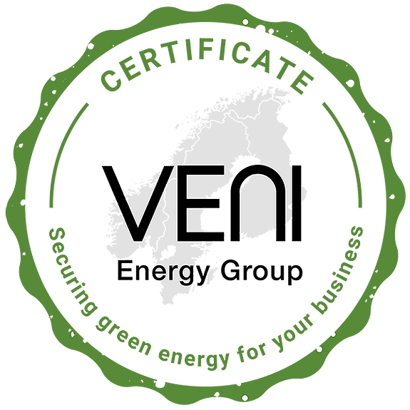 VENI ENERGY GROUP AS