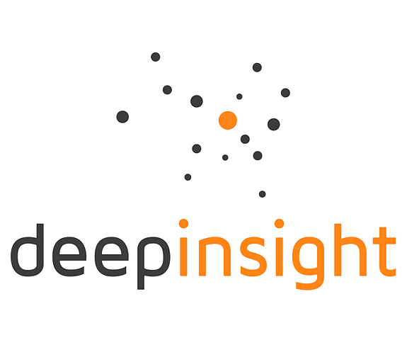 Deepinsight AS logo