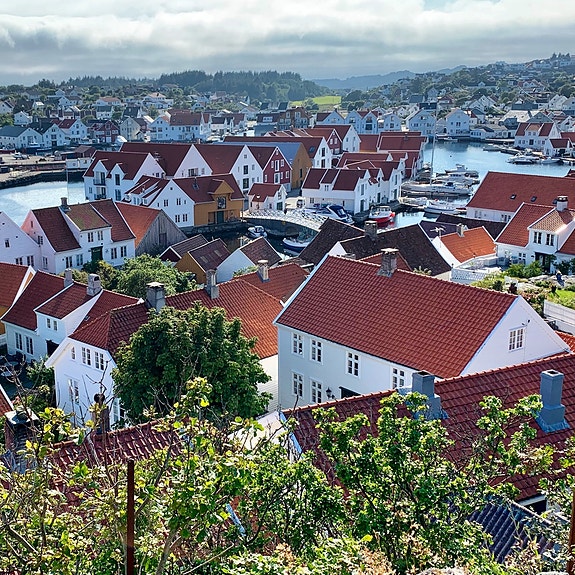 Bilde 1 av 7 i jobbannonse-galleriet