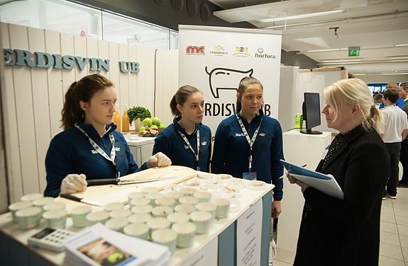 Ungdomsbedrifter fra yrkesfaglig studieretning.