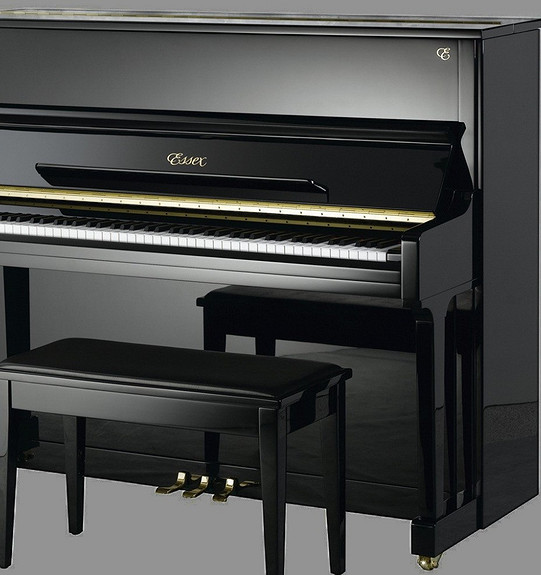 Essex EUP 116 QT