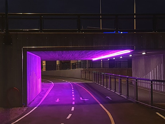 Bilde 6 av 10 i jobbannonse-galleriet