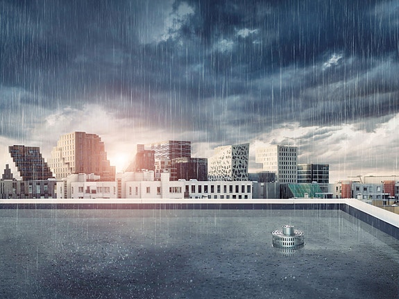 Bilde 1 av 4 i jobbannonse-galleriet