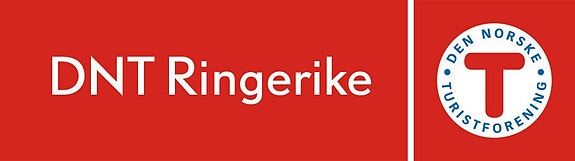 DNT Ringerike logo