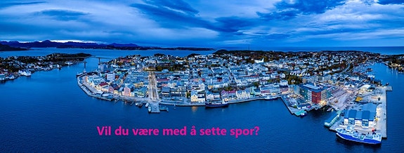 Bilde 1 av 1 i jobbannonse-galleriet