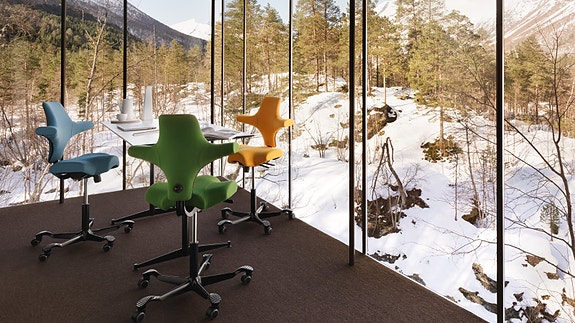 Our iconic HÅG Capisco