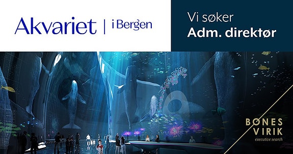 Bilde 1 av 1 i jobbannonse-galleriet