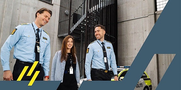Politiets IT-enhet logo