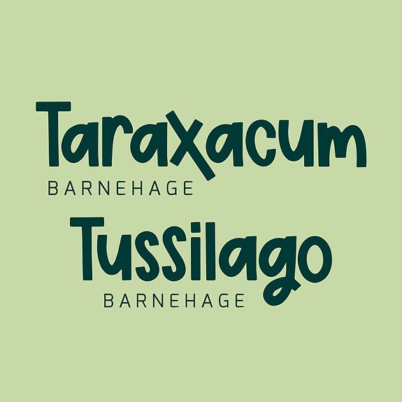 Stjørdal barnehager AS logo