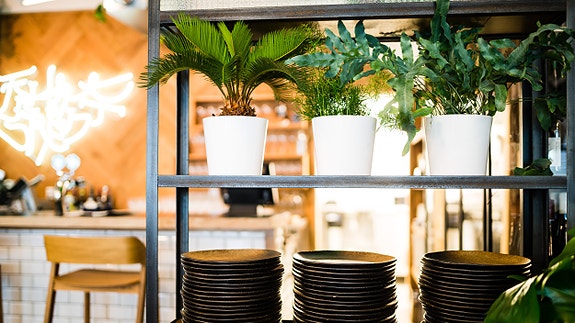 Bilde 2 av 5 i jobbannonse-galleriet
