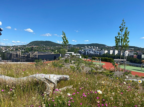 Bilde 1 av 4 i jobbannonse-galleriet