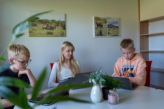 Bilde 3 av 4 i jobbannonse-galleriet