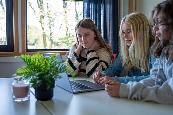 Bilde 4 av 4 i jobbannonse-galleriet