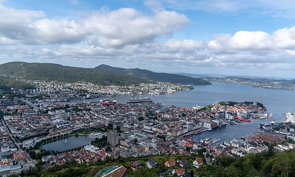 Bilde 2 av 3 i jobbannonse-galleriet