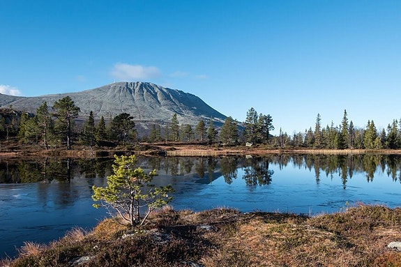 Bilde 1 av 1 i jobbannonse-galleriet