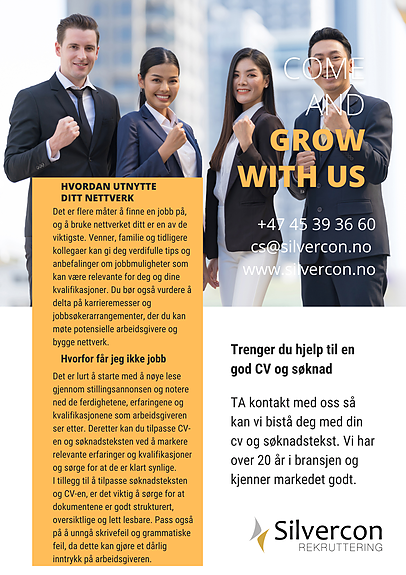 Bilde 1 av 1 i jobbannonse-galleriet