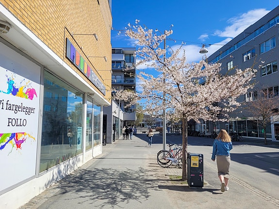 Bilde 2 av 7 i jobbannonse-galleriet