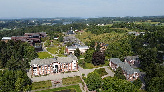 Bilde 4 av 7 i jobbannonse-galleriet