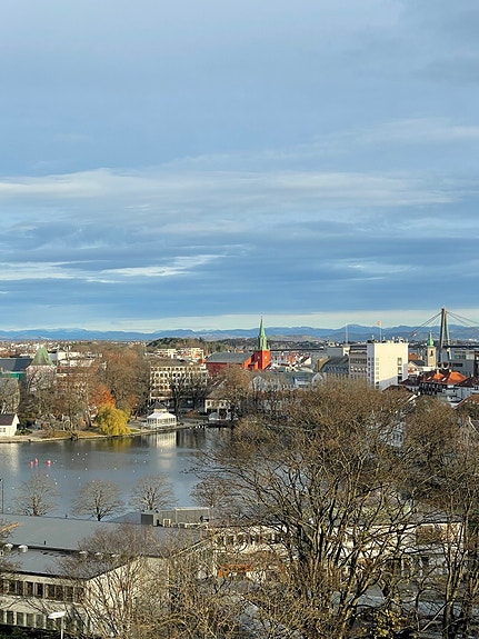 Bilde 1 av 2 i jobbannonse-galleriet