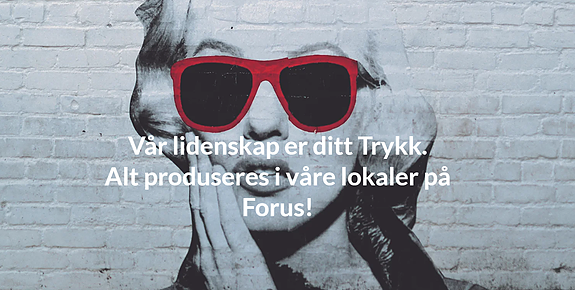 Bilde 1 av 1 i jobbannonse-galleriet