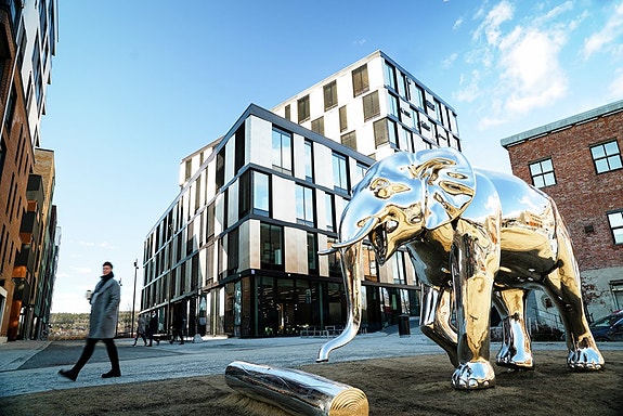 Bilde 3 av 5 i jobbannonse-galleriet
