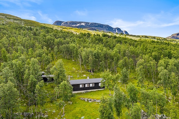 Velkommen til Raggsteindalsevegen 302!