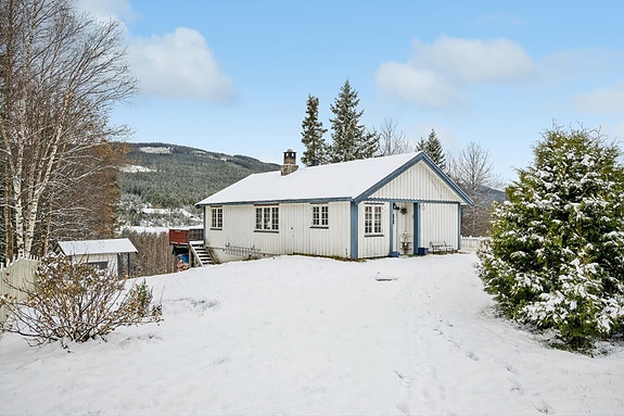 Velkommen til Uvdalsvegen 1178.