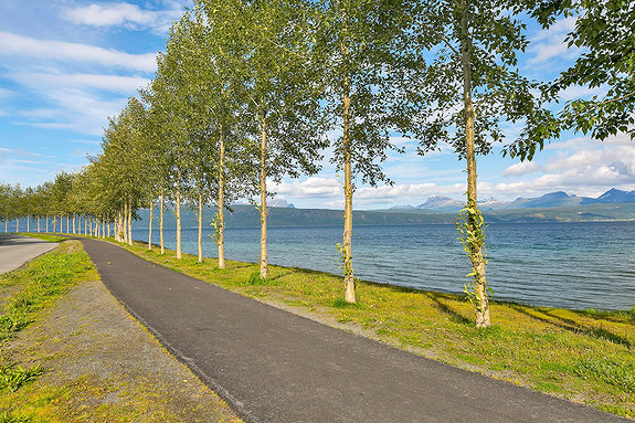 Det er også kort vei til flotte turområder både langs Strandveien og i Elvedalen.