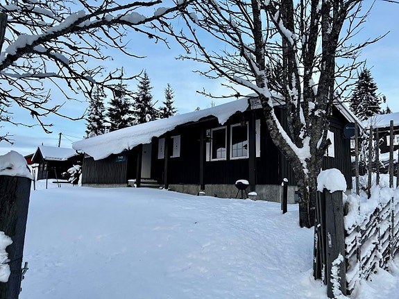 Velkommen til Nordsetervegen 1335