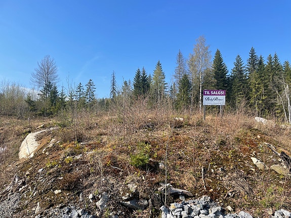 Bor du her får du skogen som nærmeste nabo på baksiden mot sør-vest. Tomten grenser også til en stor fri-tomt (tur-drag) mot sør-vest.